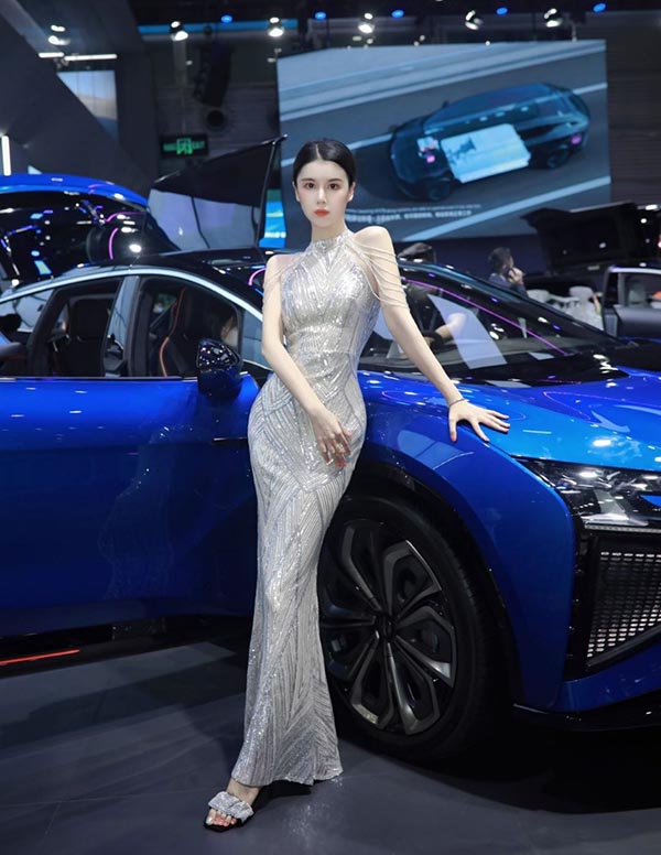 新加坡伴游服务